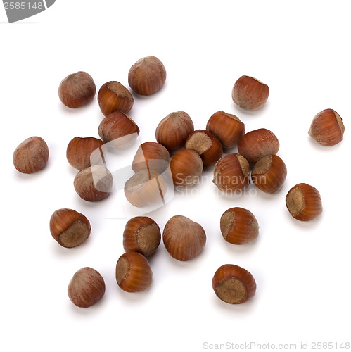 Image of hazelnuts isolated on white background