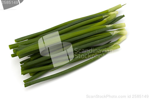 Image of spring onion 