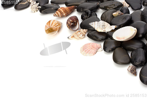 Image of  Beach elements background