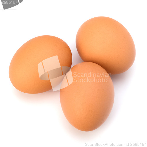 Image of Eggs  