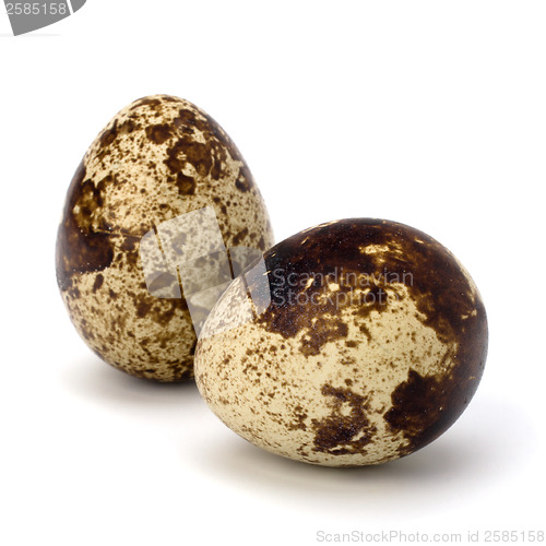 Image of quail eggs