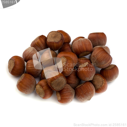 Image of hazelnuts isolated on white background