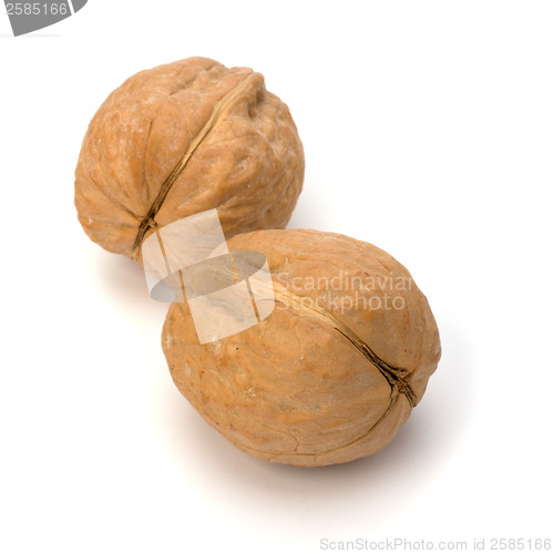 Image of Circassian walnut isolated on the white background 