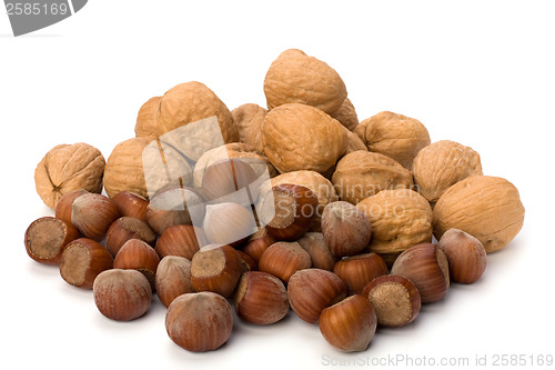 Image of nuts isolated on white background 