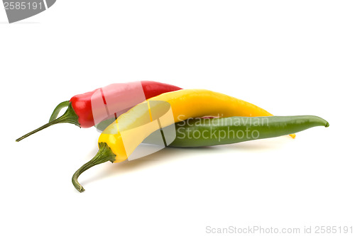 Image of Chili pepper isolated on white background