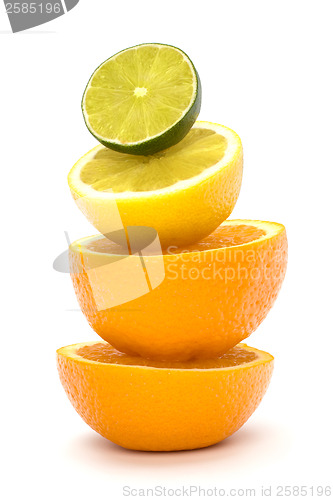 Image of Citrus fruits