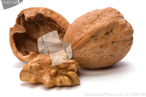 Image of walnut