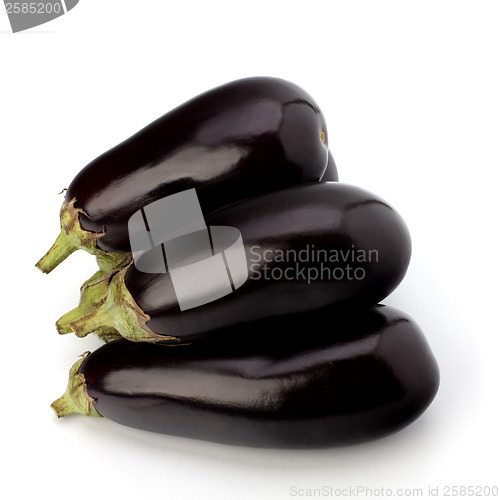 Image of eggplants isolated on white background close up