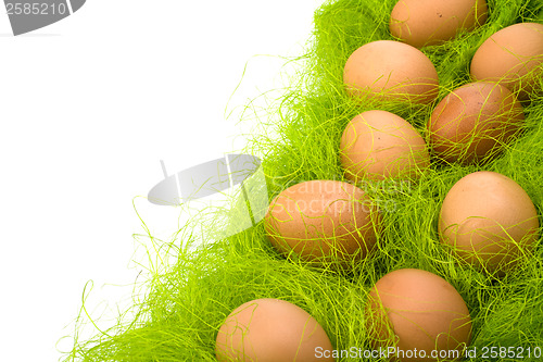 Image of eggs border 