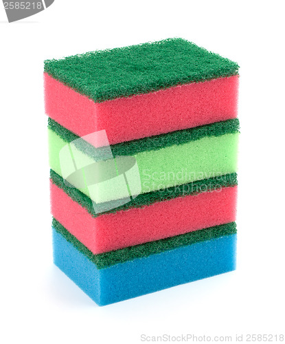 Image of sponges 