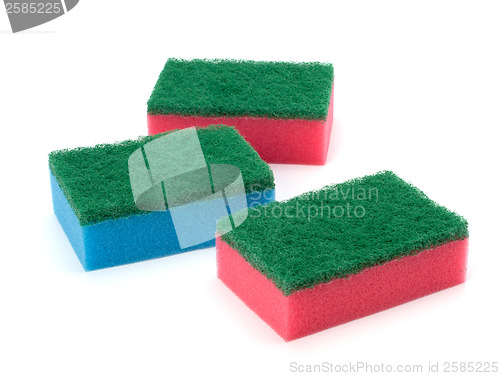 Image of sponges 
