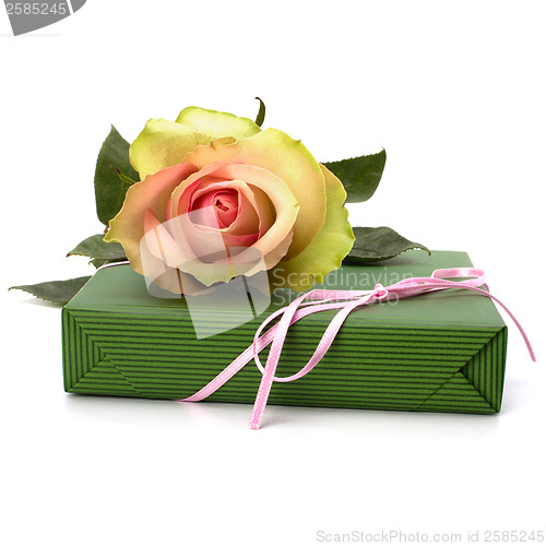 Image of Beautiful rose with gift  isolated on white background 