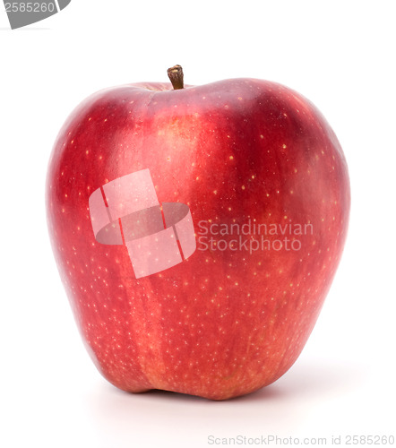 Image of red apple isolated on white background