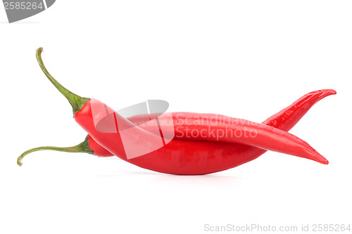 Image of Chili pepper isolated on white background