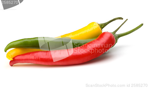 Image of Chili pepper isolated on white background