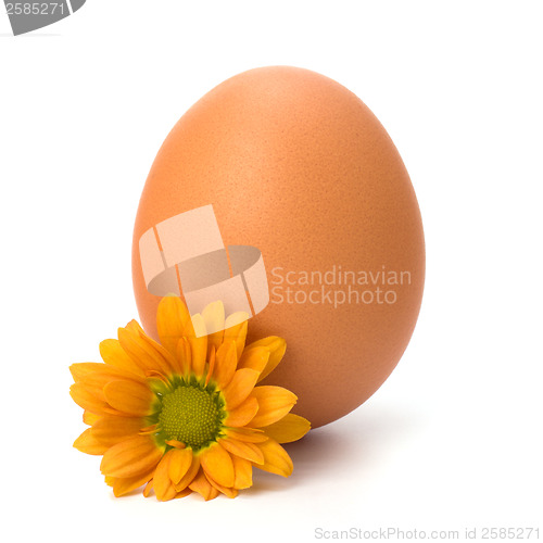 Image of Easter egg