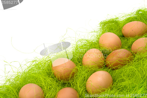 Image of eggs border 