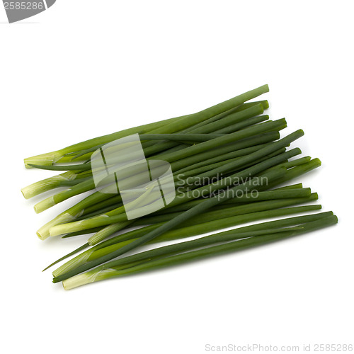 Image of spring onion 