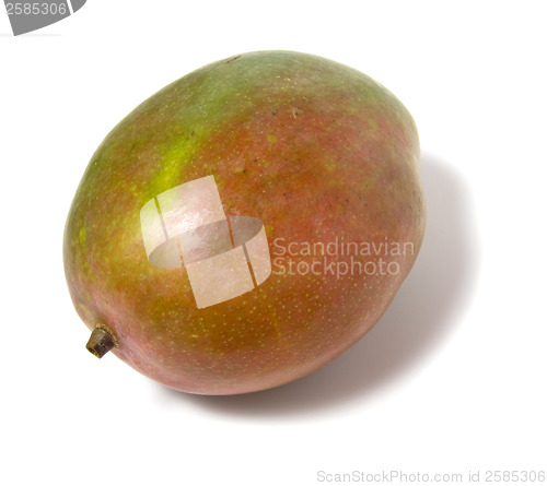 Image of single mango isolated on white background