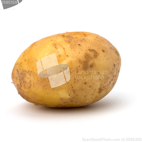 Image of potato