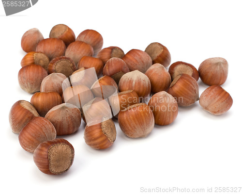 Image of hazelnuts isolated on white background