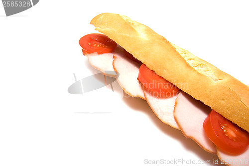 Image of sandwich isolated on white 