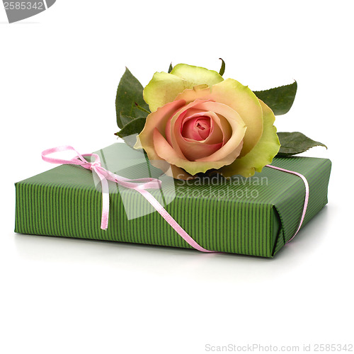 Image of Beautiful rose with gift  isolated on white background 