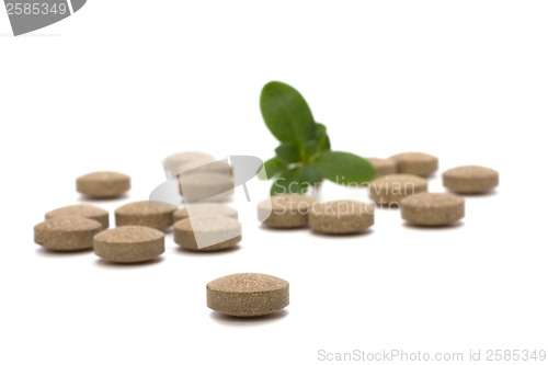 Image of herbal pills