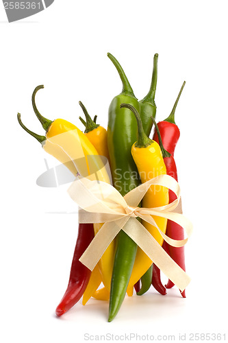 Image of Chili pepper isolated on white background