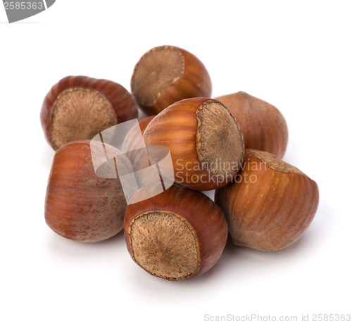 Image of hazelnuts isolated on white background