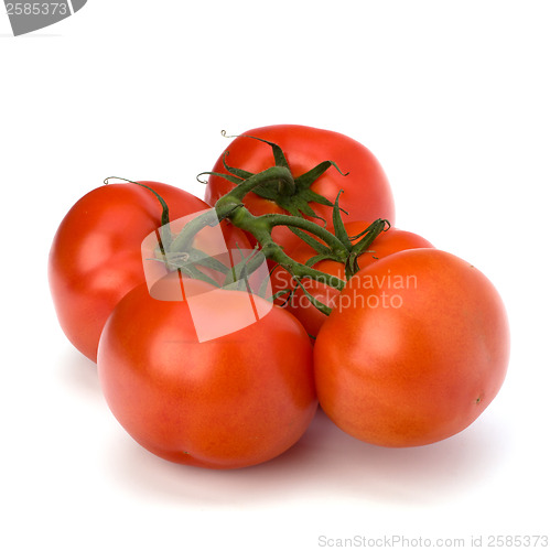 Image of red tomato isolated on the white background 