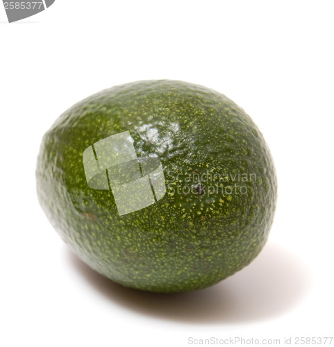 Image of avocado isolated on white