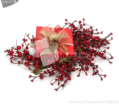 Image of Luxurious gift 