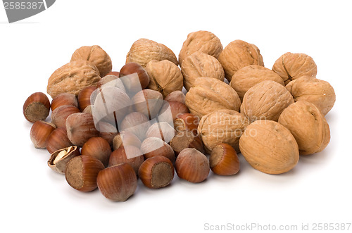 Image of nuts isolated on white background 