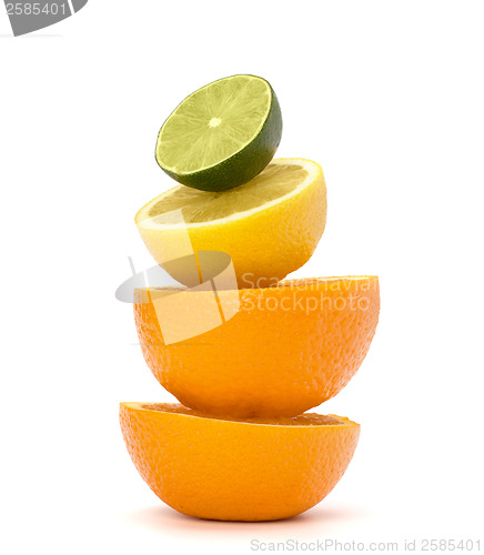 Image of Citrus fruits