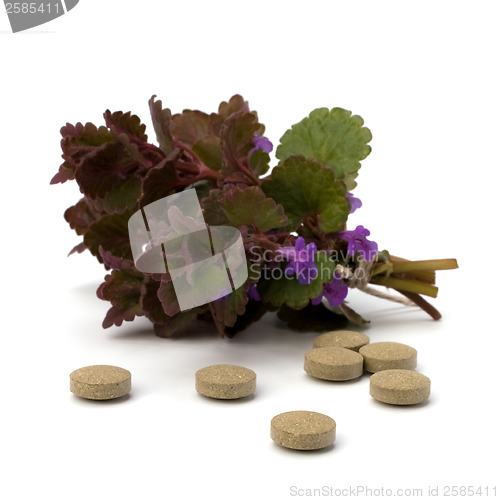 Image of herbal medicine isolated on white background 