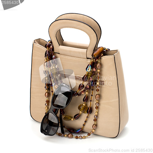 Image of Luxury female handbag isolated on white background 