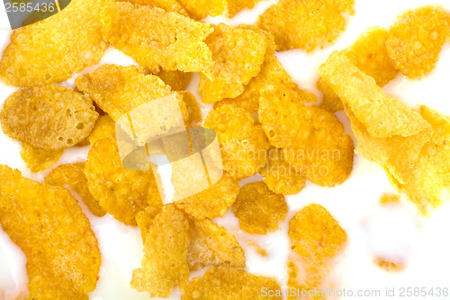 Image of Healthy breakfast. Bowl with corn flakes.