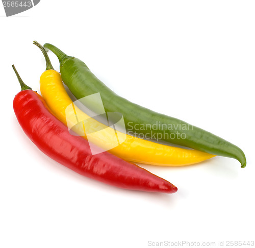 Image of Chili pepper isolated on white background