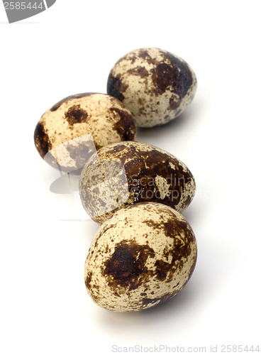 Image of quail eggs