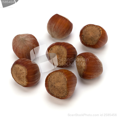 Image of hazelnuts isolated on white background