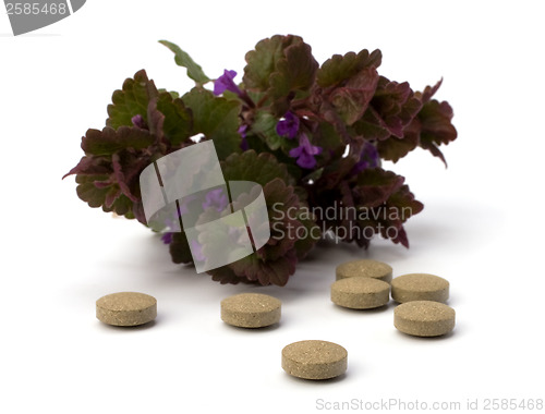 Image of herbal medicine isolated on white background 