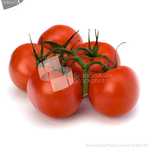 Image of red tomato isolated on the white background 