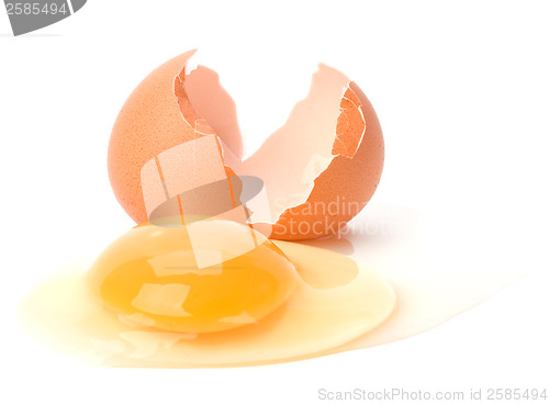 Image of broken egg isolated on white background