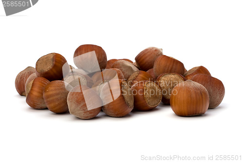 Image of hazelnuts isolated on white background