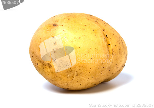 Image of potato isolated on white background