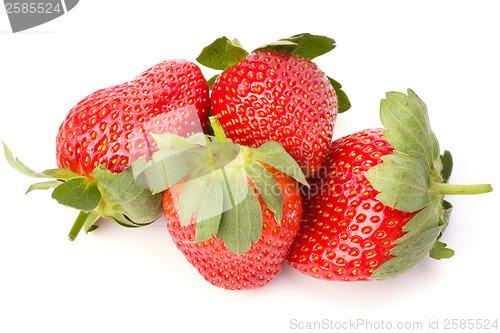 Image of Strawberries isolated on white background