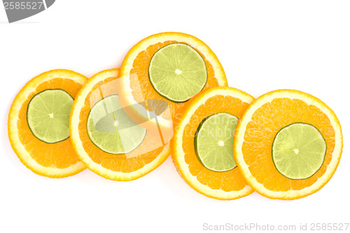 Image of Citrus fruit slices
