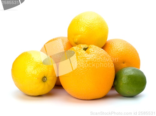 Image of Citrus fruits