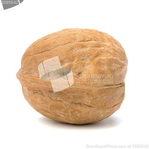 Image of  walnut